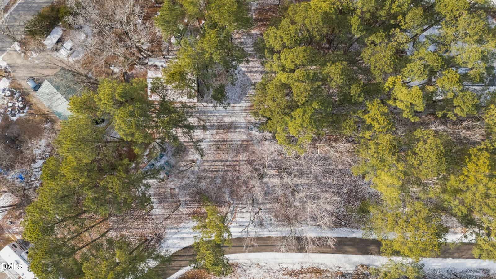 A road with trees and snow.
