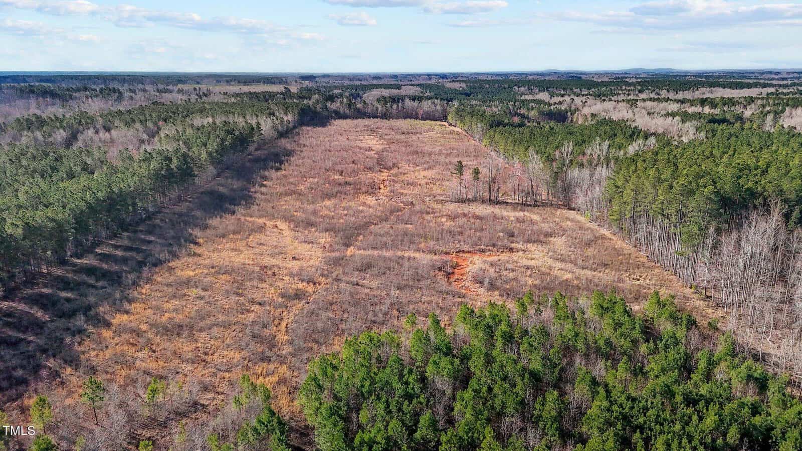 Aerial view of a large, cleared area of land surrounded by dense green and leafless trees, with a partly cloudy sky above and forest stretching into the distance.