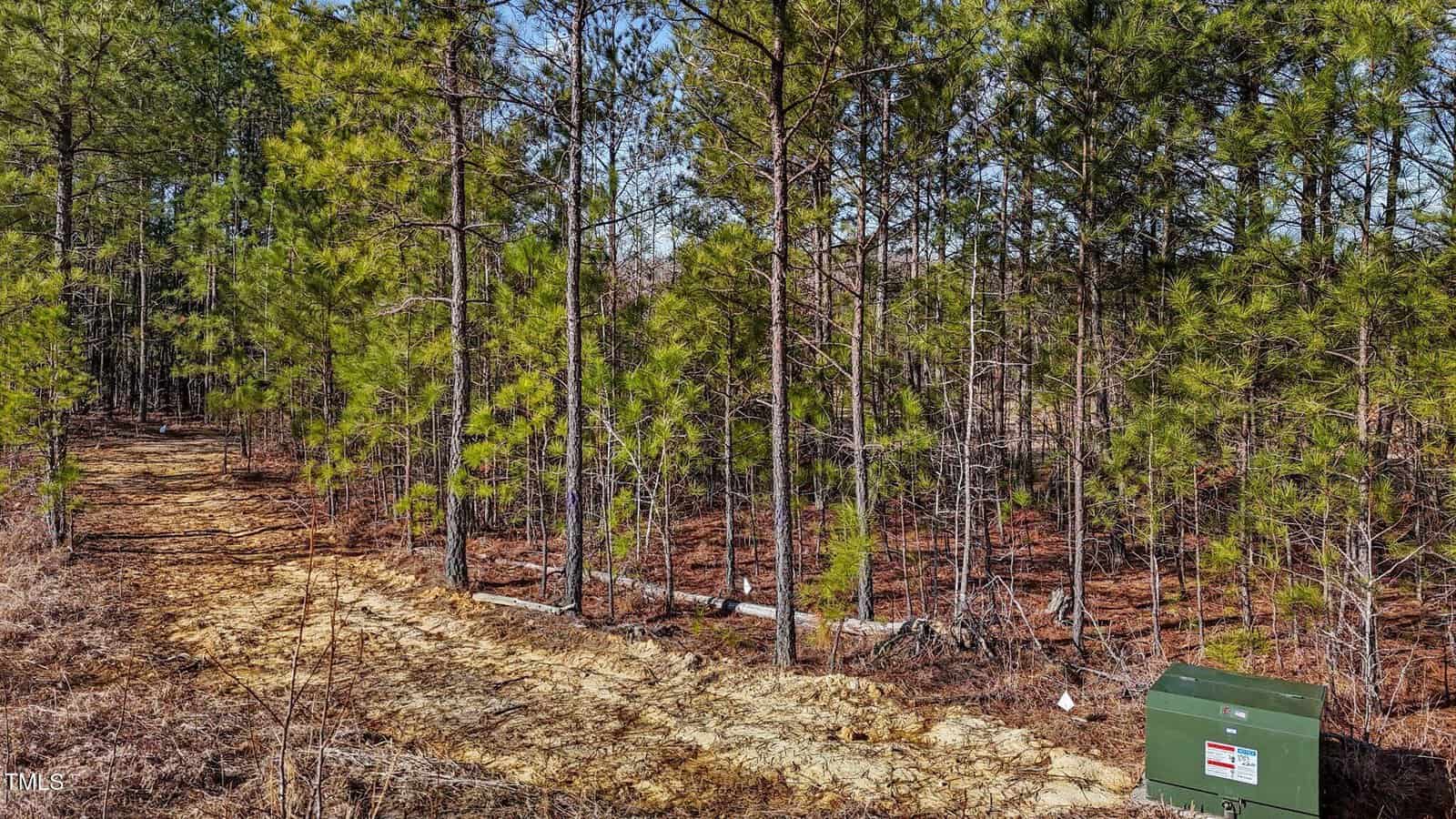 A dirt path runs alongside a forest of tall pine trees under a clear blue sky. In the lower right corner, there is a green utility box with warning labels. Dry grass and leaf litter cover the ground.