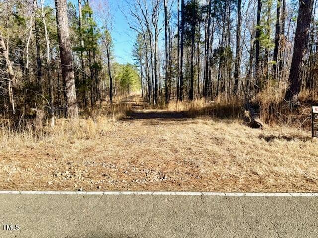 A narrow dirt path leads from the edge of a paved road into a forest of tall trees with dry grass and sparse underbrush on a sunny day.