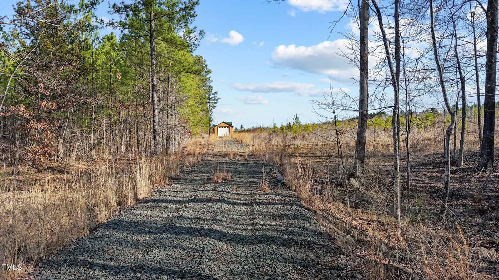 A gravel path leads through dry grass and trees toward a small shed under a partly cloudy sky. The vegetation on the left is denser, while the right side has sparse, leafless trees.
