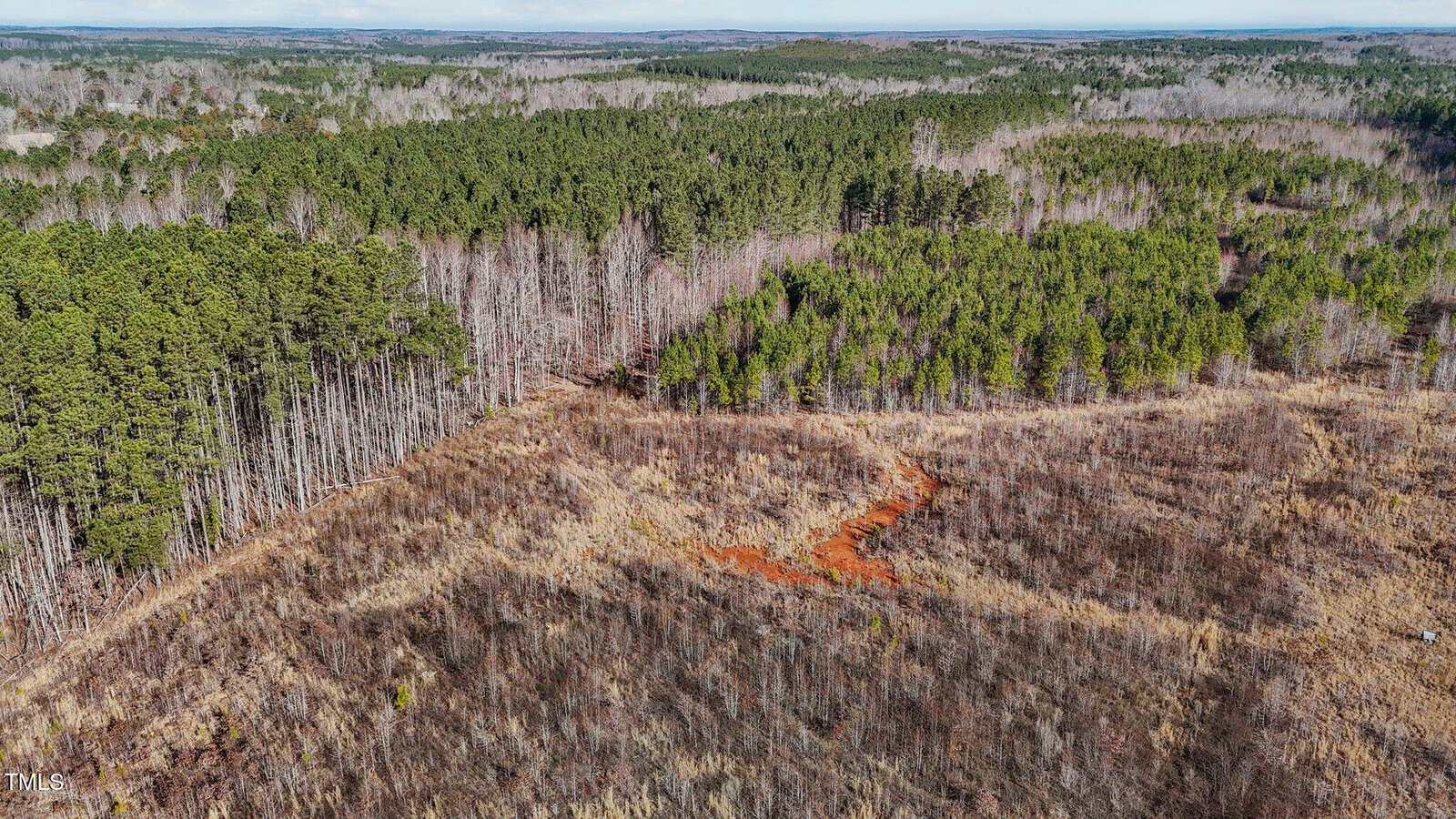 Aerial view of a forested area with dense green trees and a clearing featuring dry grass and exposed reddish soil winding through the open land. The sky is mostly clear.