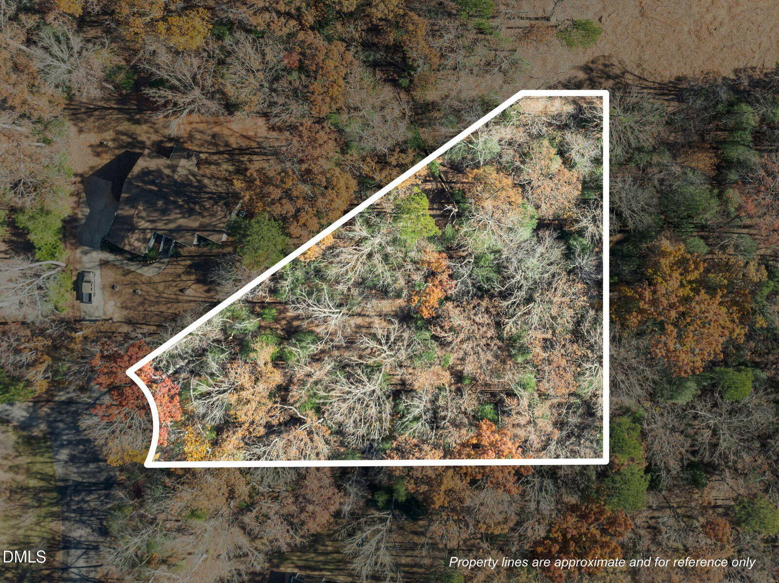 Aerial view of a wooded lot outlined in white, showing dense trees with autumn foliage. A house and vehicles are visible to the left outside the outlined area. Text at the bottom notes property lines are approximate.