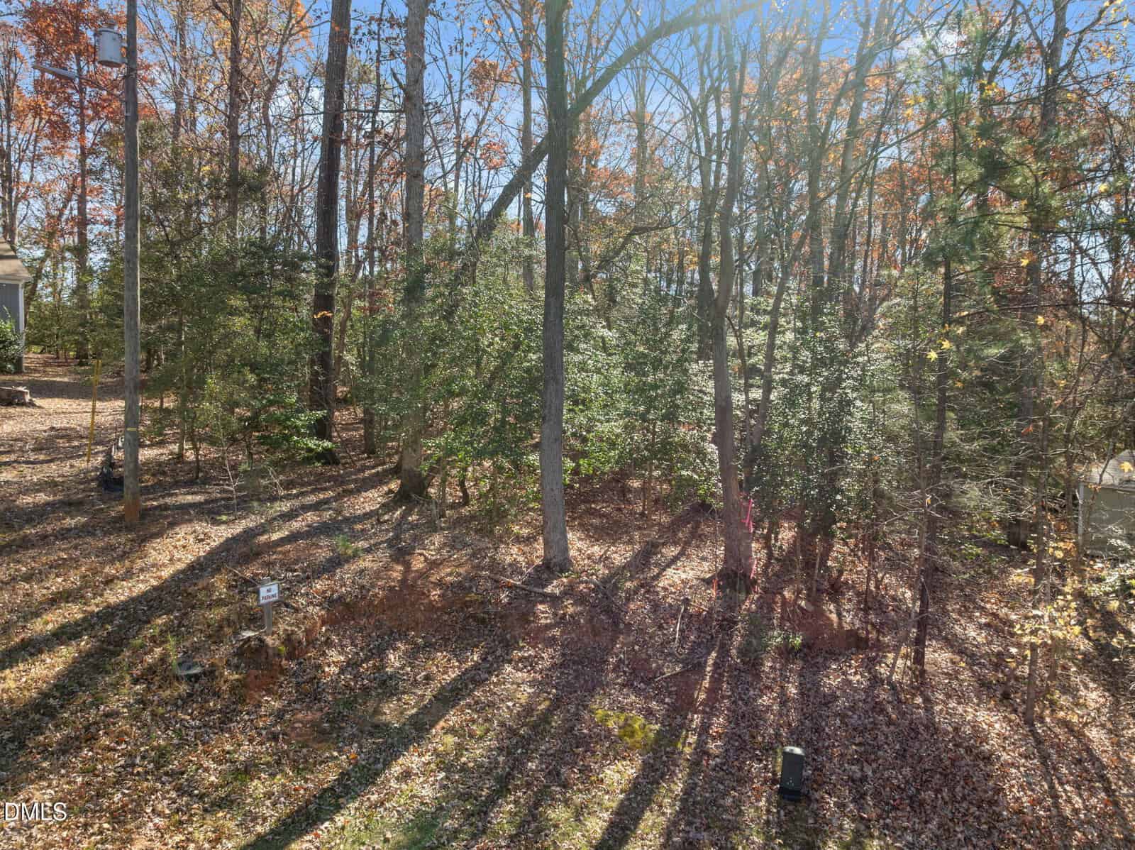 A wooded area with tall trees and autumn leaves covering the ground, sunlight streaming through the branches, and long shadows cast on the forest floor. A small sign and some utility boxes are visible among the trees.