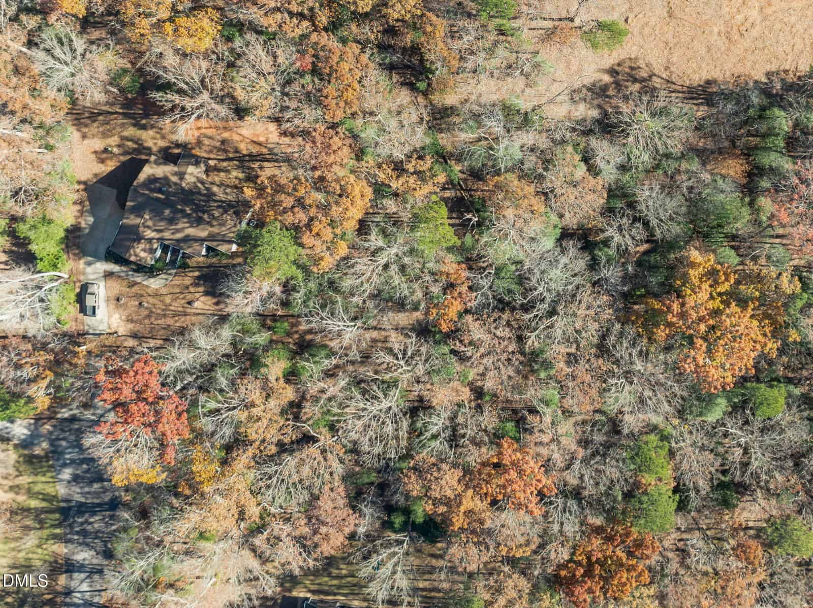 Aerial view of a wooded area with autumn foliage in shades of green, orange, and brown. A house and a parked vehicle are partially visible among the trees near a clearing.