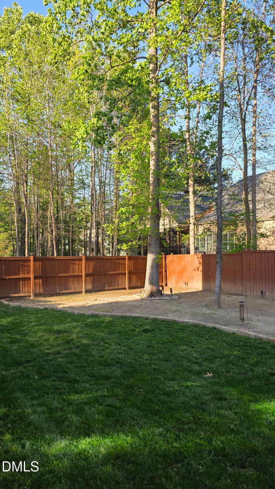 Sunny backyard with green grass, tall trees, and a brown wooden fence. A house is partially visible through the trees in the background. Shadows from the trees extend across the lawn.