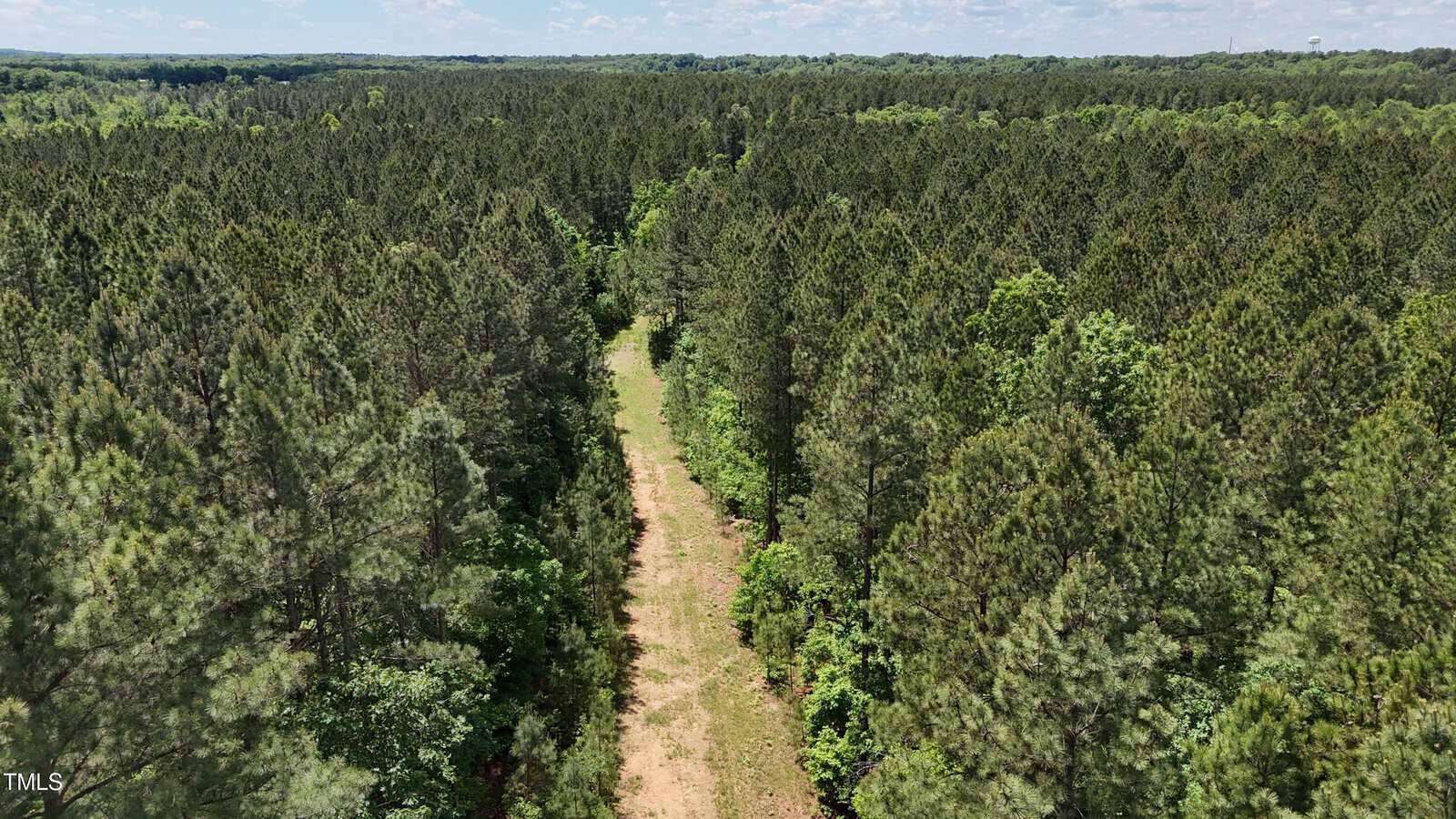 A narrow dirt path cuts through a dense pine forest, extending toward the horizon under a partly cloudy sky. The trees are lush and green, surrounding the trail on both sides.