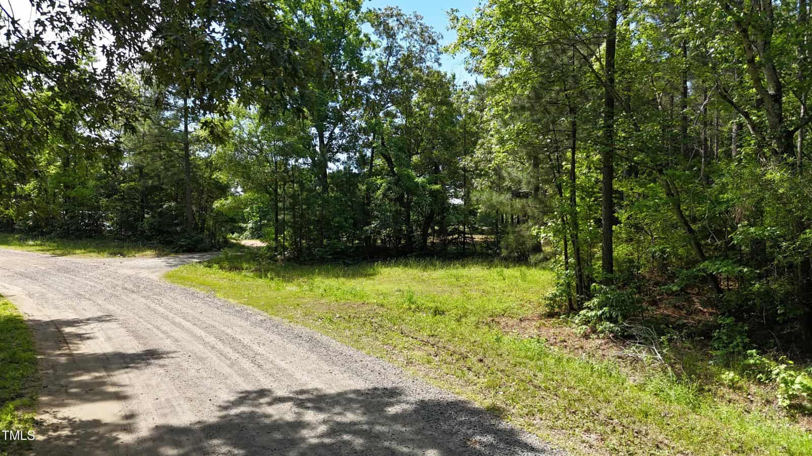 A gravel road curves through a lush, green forest under a clear blue sky, with sunlight filtering through the trees and casting dappled shadows on the ground.