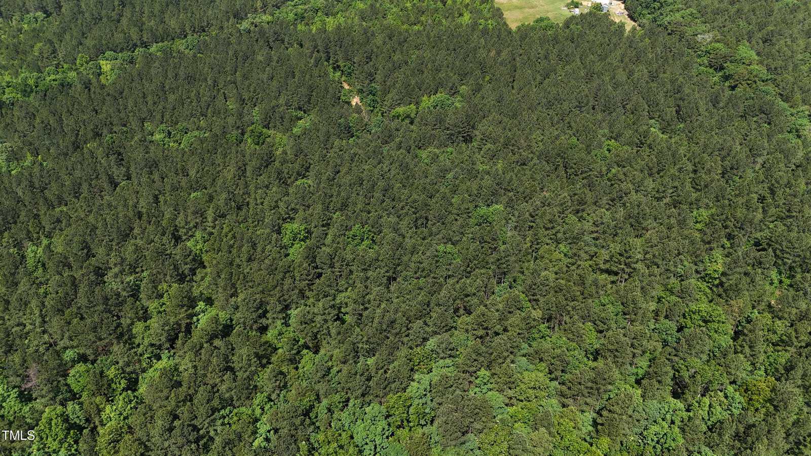 Aerial view of a dense, green forest with tall trees. In the top right corner, there is a small clearing with some grass and a few light-colored structures.