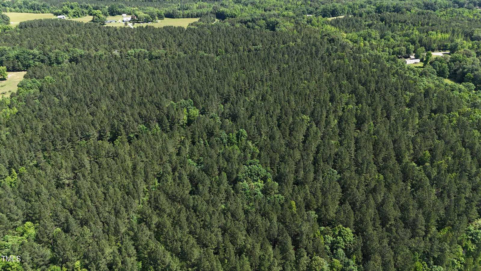 Aerial view of a dense forest with a mix of evergreen and deciduous trees, surrounded by open fields and scattered houses visible in the distance.
