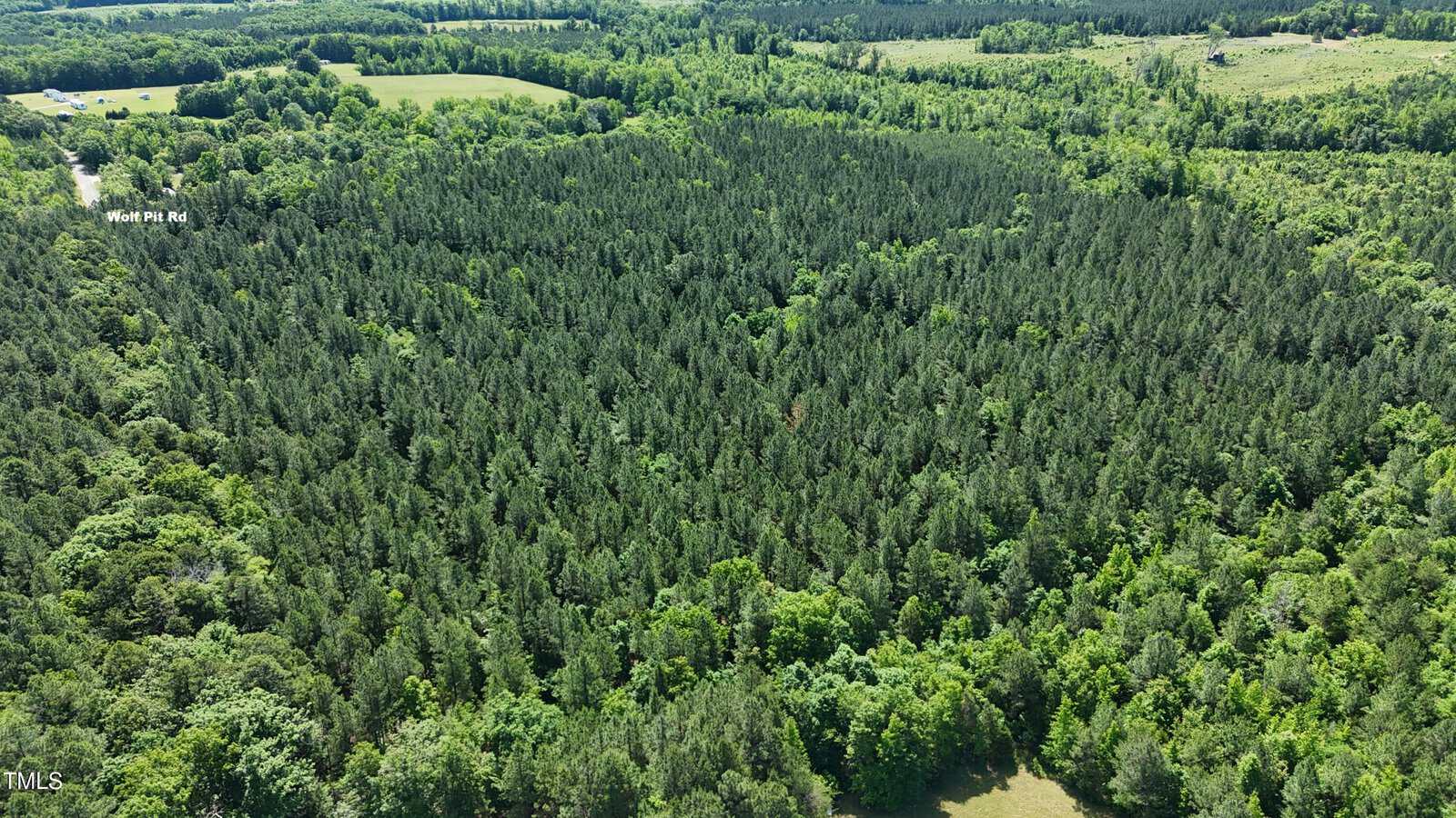 Aerial view of a dense, green forest with a mix of tall pine and leafy trees. A road and open fields are visible in the background, with “West Pitt Rd” labeled near the treetops.