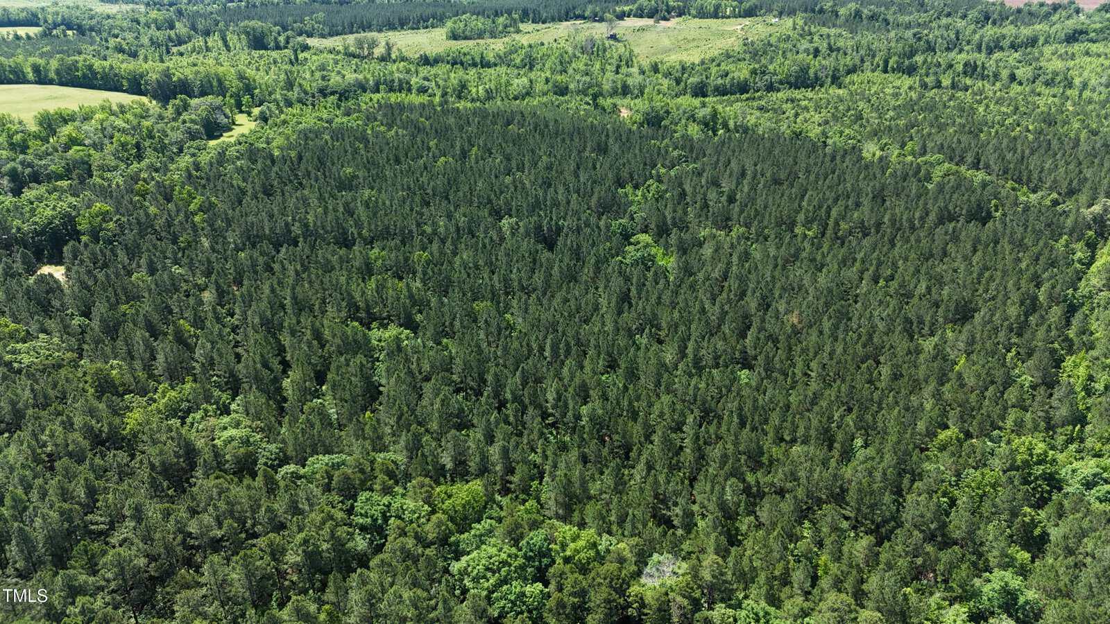 Aerial view of a dense, green forest with tall trees, surrounded by open fields and patches of lighter green vegetation under a clear sky.