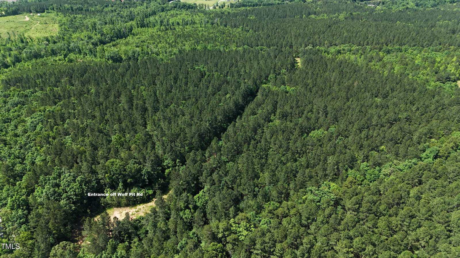 Aerial view of a dense, green forest with a small clearing near the bottom labeled "Entrance off Wolf Pit Rd" and a narrow path leading into the trees.