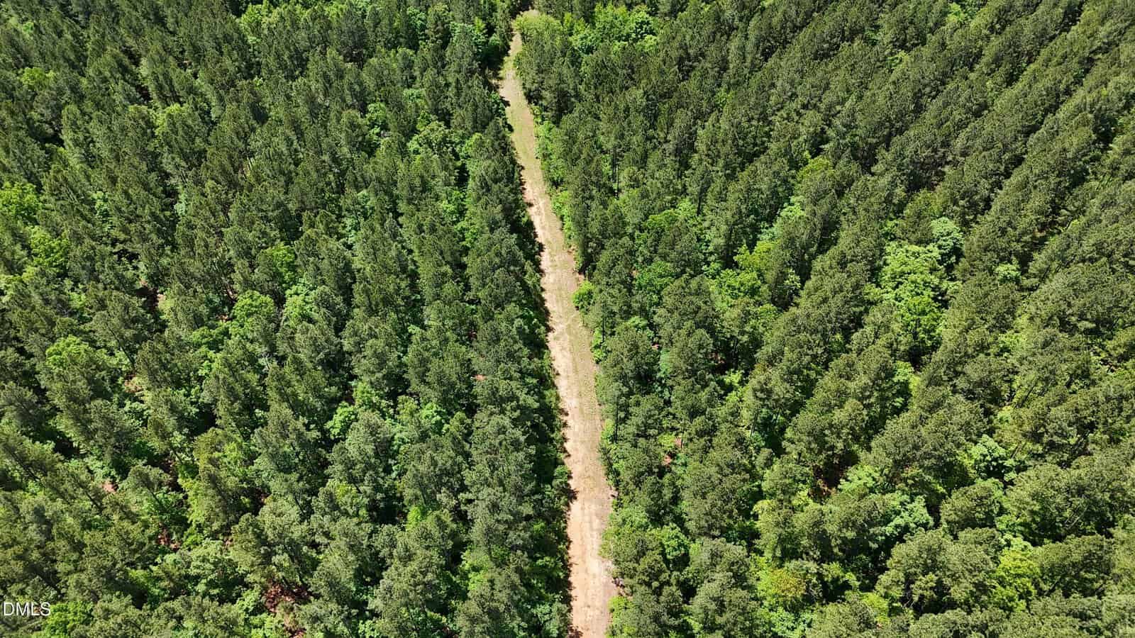 A narrow dirt path runs through the middle of a dense forest filled with tall green trees, viewed from above.