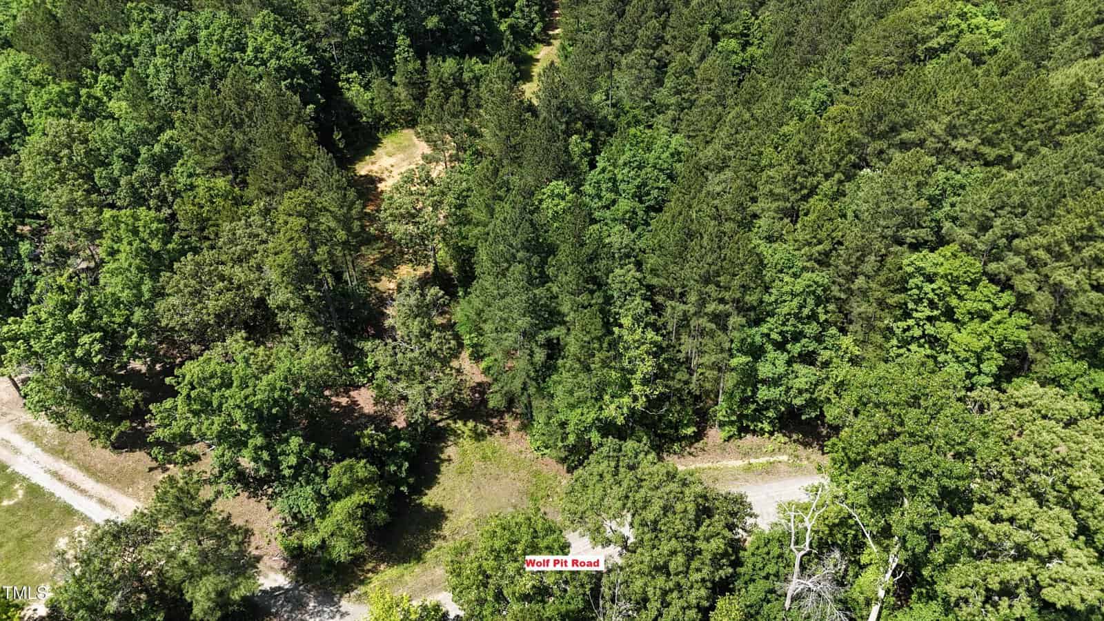 Aerial view of a dense, green forest with a narrow dirt road labeled "Wolf Pit Road" running along the edge of the trees. Sunlight filters through the canopy, highlighting various shades of green.