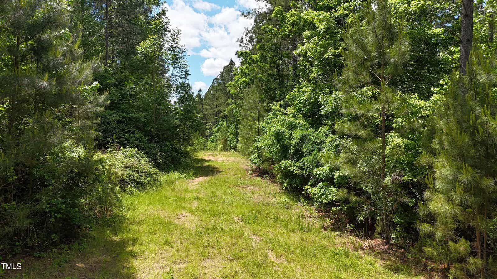 A grassy path surrounded by dense green trees and shrubs on both sides, under a partly cloudy blue sky in a forested area.