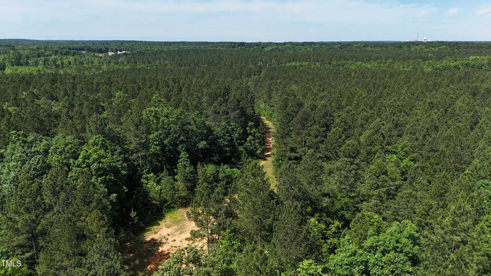 Aerial view of a dense pine forest with a narrow dirt path cutting through the trees under a clear blue sky.