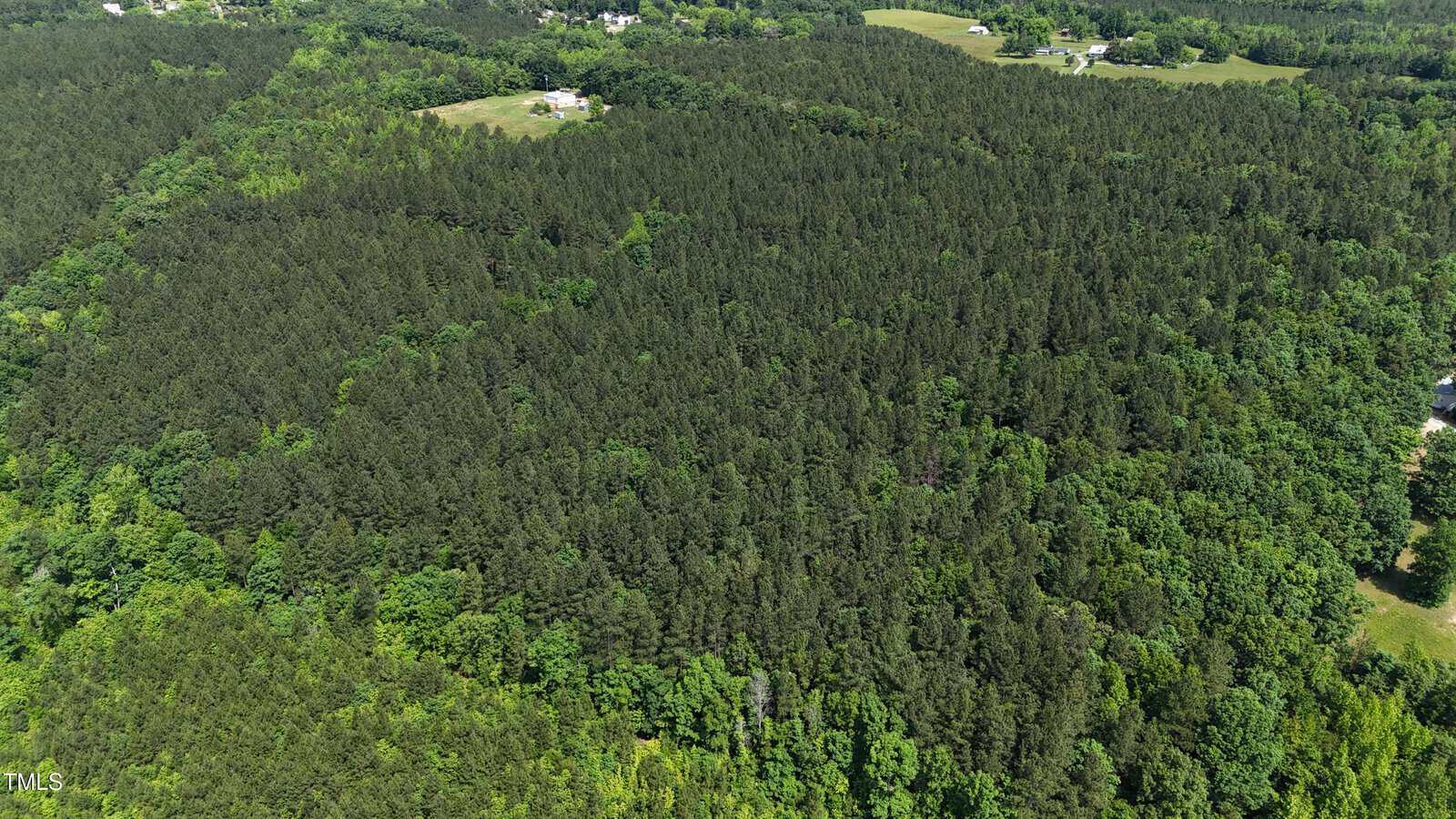 Aerial view of a large, dense forest with dark green trees, surrounded by scattered clearings and a few buildings in the distance under a clear sky.