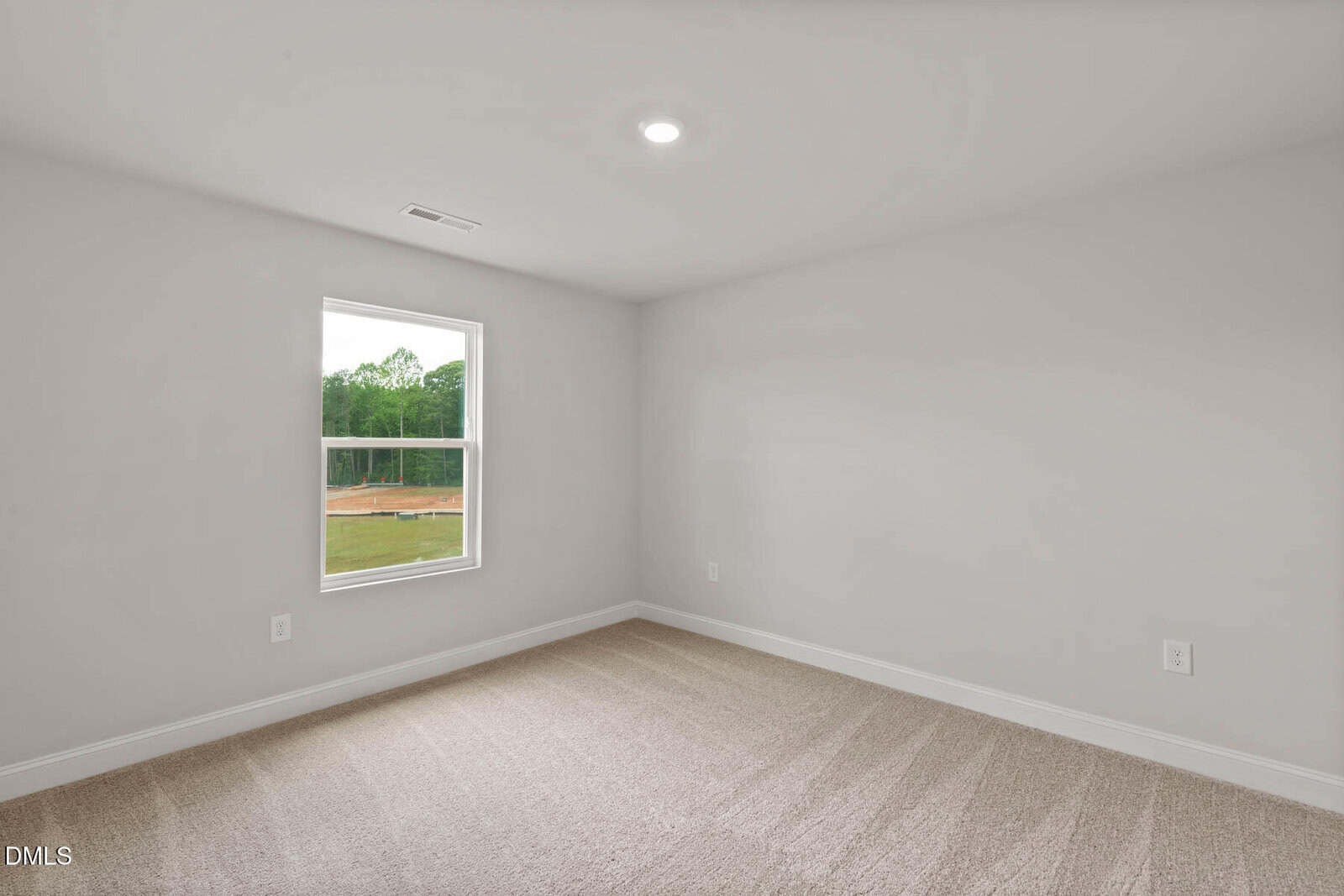 Empty room with beige carpet, light gray walls, a single window showing trees and dirt outside, white baseboards, two electrical outlets, and a ceiling light. The room is clean and has no furniture or decorations.