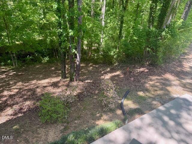 View of a sunlit forest edge with tall trees and leafy undergrowth beside a shaded, partially visible concrete or stone surface in the foreground. Dappled light falls on the ground and plants.