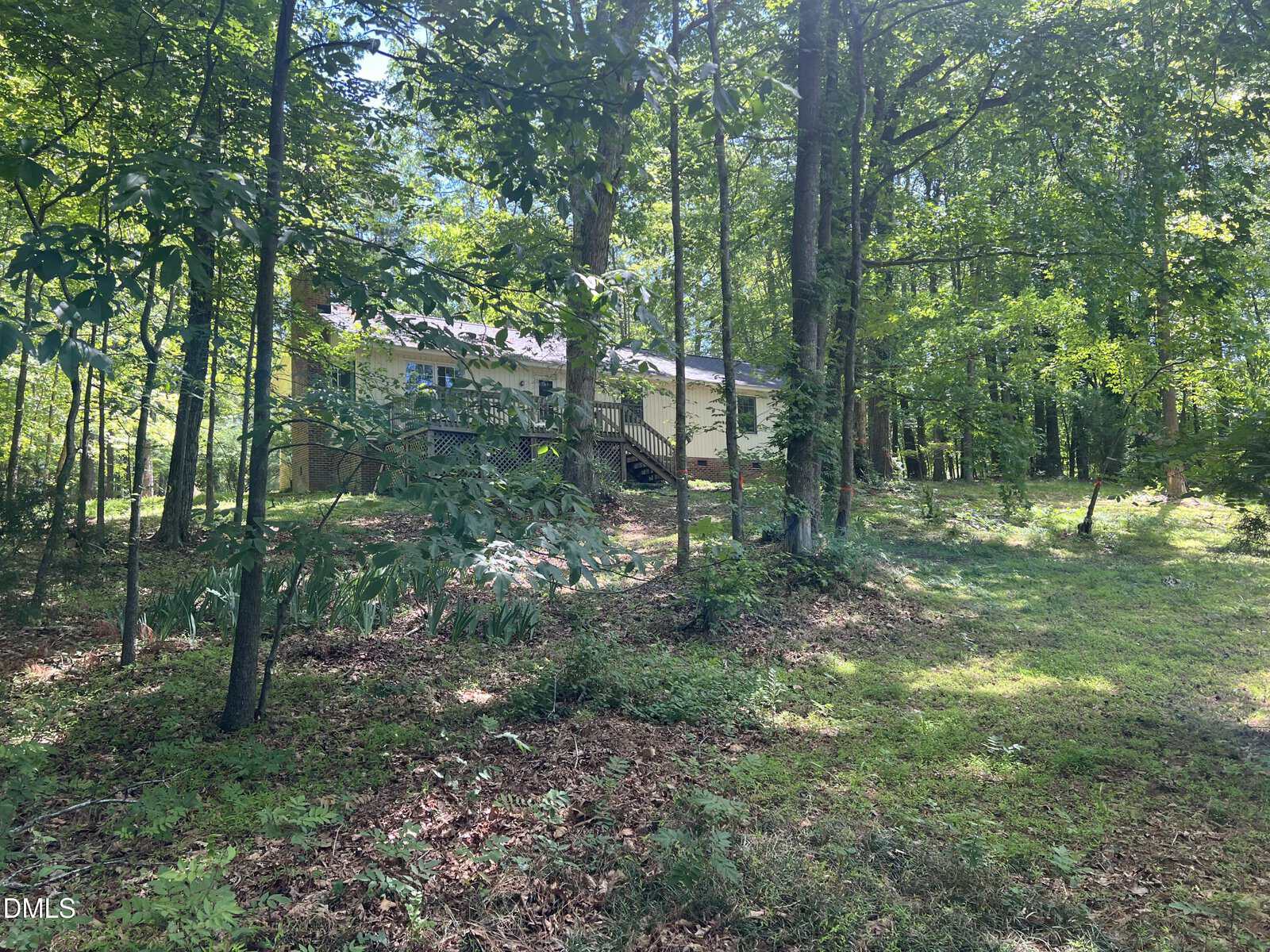 A cream-colored house with a front porch is partially visible through dense green trees and foliage in a sunlit, wooded area. The ground is covered with grass, leaves, and patches of sunlight.
