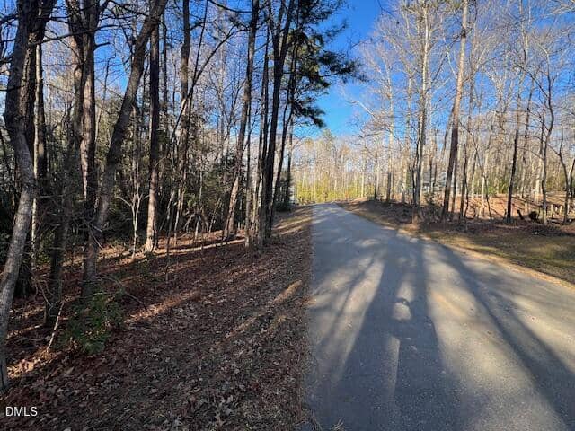 A paved road curves through a forest with bare trees under a clear blue sky. Shadows stretch across the road, and fallen leaves cover the ground beside the path.