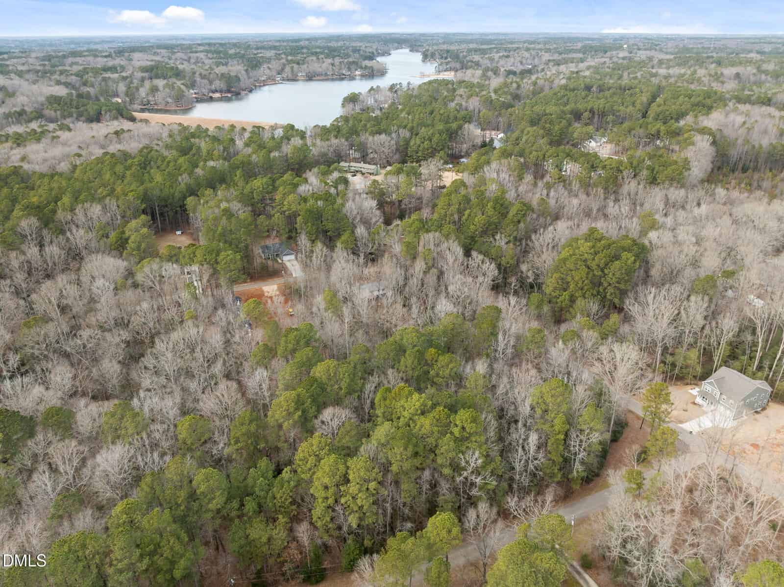 Aerial view of a wooded area with dense trees, some houses scattered among the trees, winding roads, and a large lake in the background under a cloudy sky.