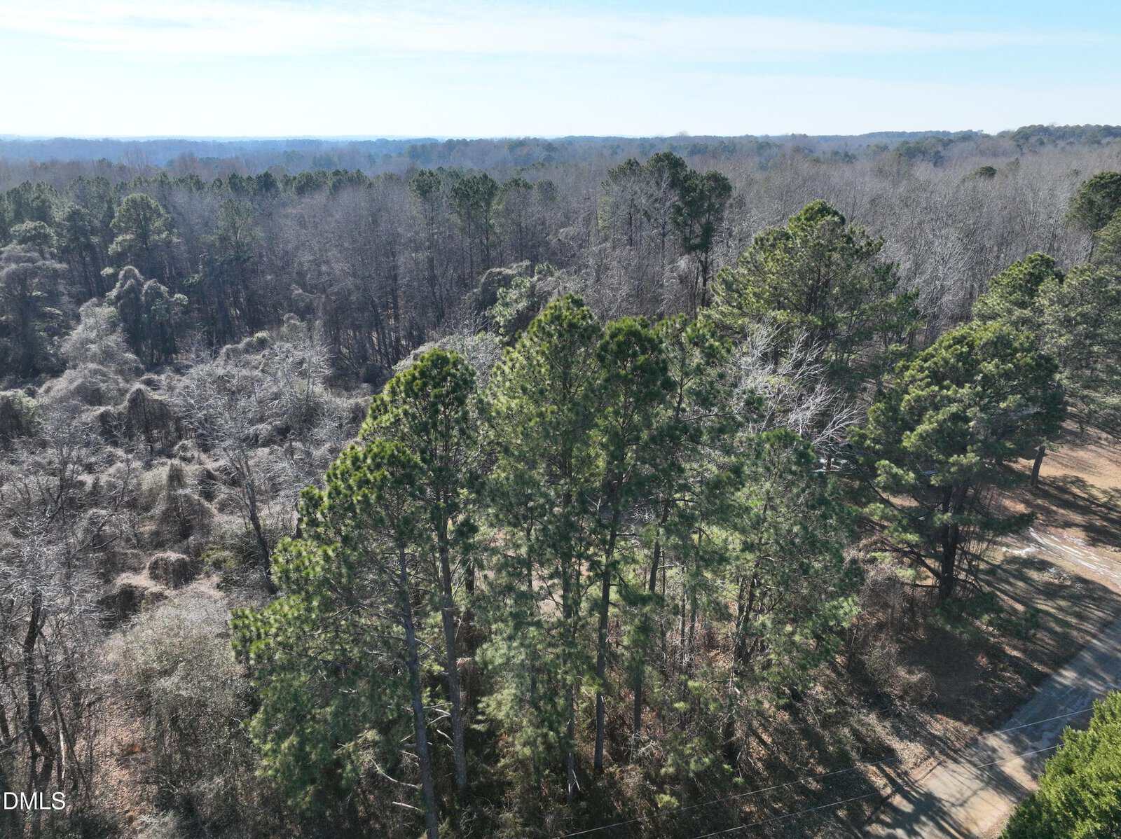 Aerial view of a wooded area with tall pine and leafless trees, showing dense forest and clear sky in the background. A dirt path is partially visible to the right side of the image.