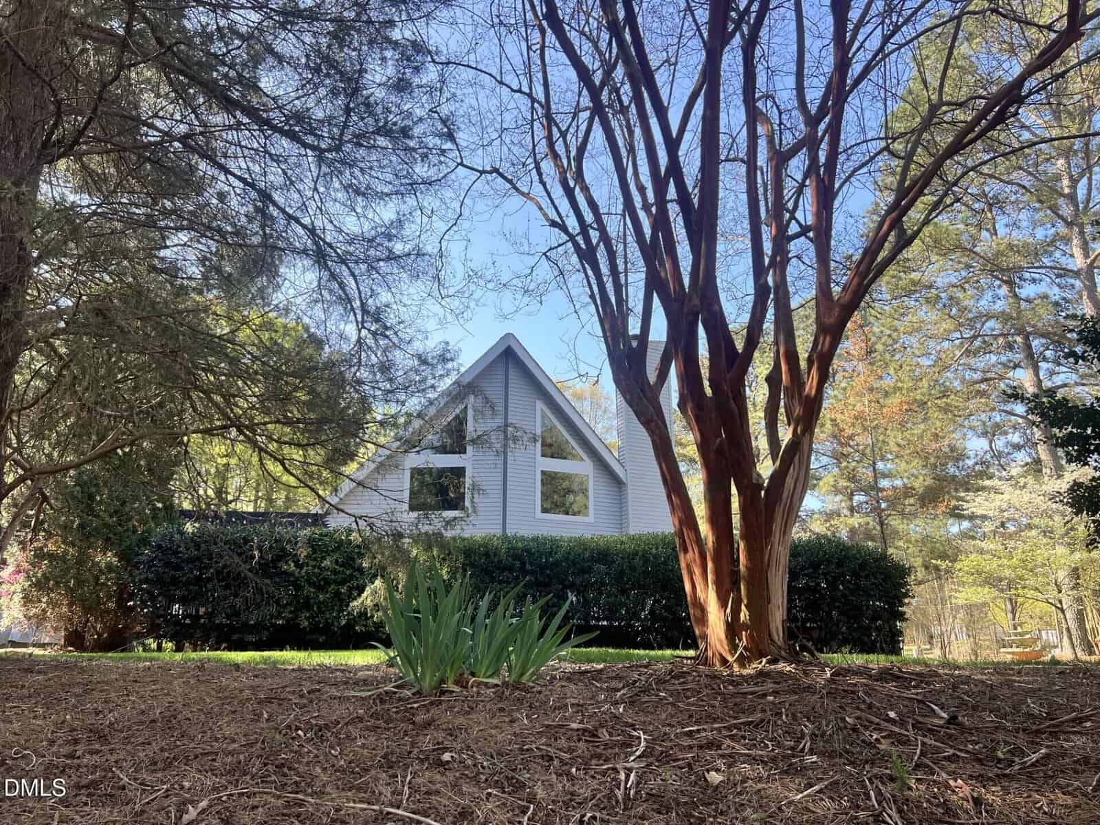 A-frame house with large windows surrounded by trees and bushes, seen from a ground-level perspective with mulch and plants in the foreground under a clear blue sky.