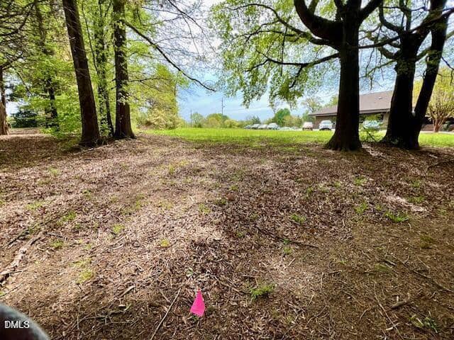A patch of dirt and leaves under trees leads to a grassy open area. A pink marker flag is in the foreground, with a row of parked cars and a building visible in the background.