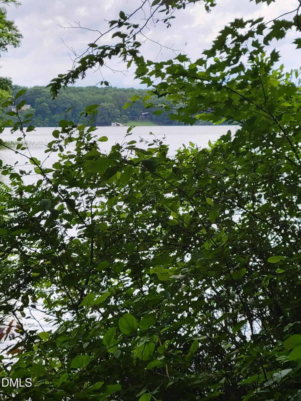 View of a lake partially obscured by green leafy branches in the foreground, with trees and hills visible across the water under a cloudy sky—a tranquil scene characteristic of Macon, as seen from Lot 23 Sail View Lane.