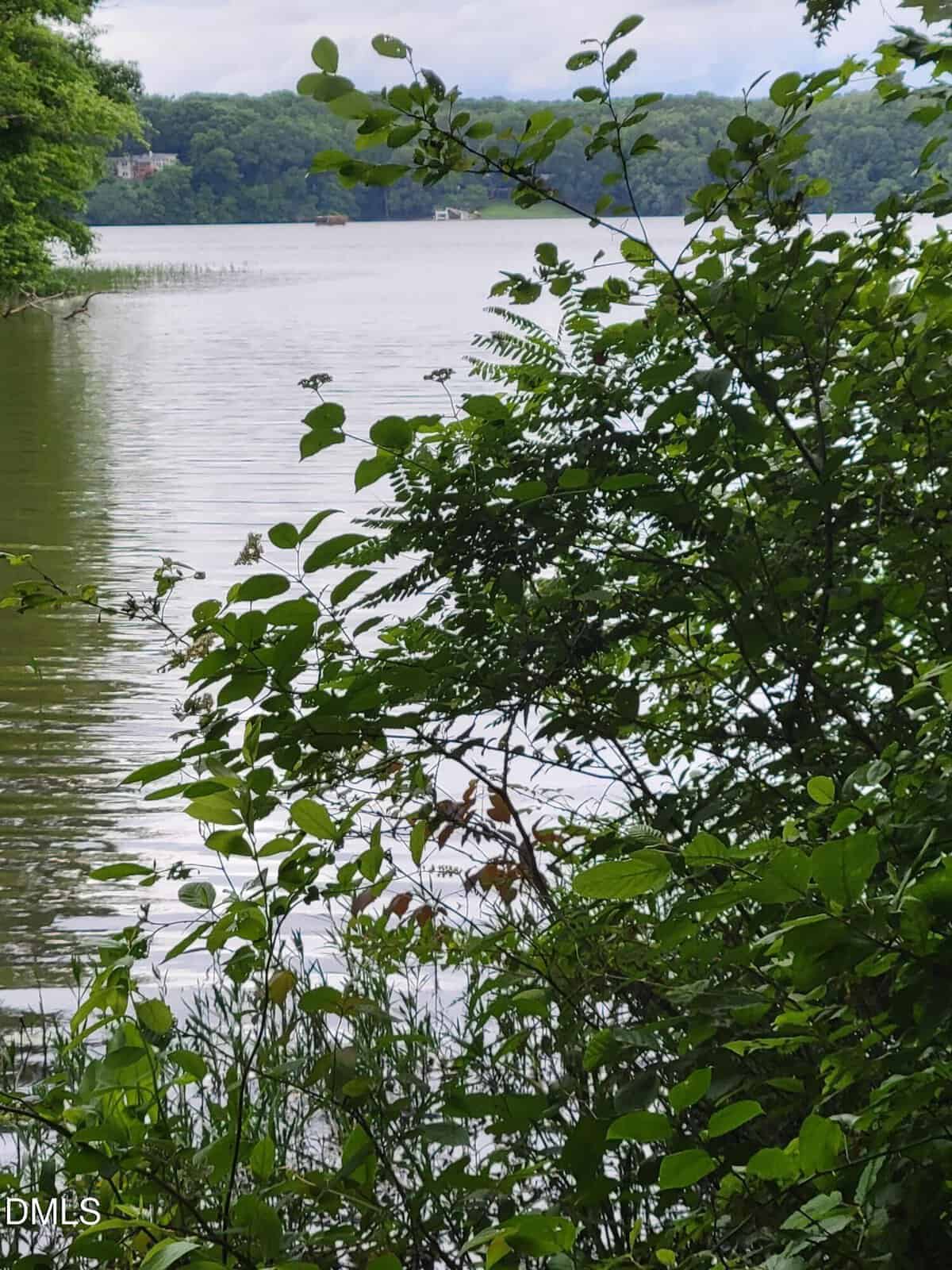 View of a calm lake partially obscured by green leafy bushes and trees, with a forested shoreline and a house visible in the distance under a cloudy sky.