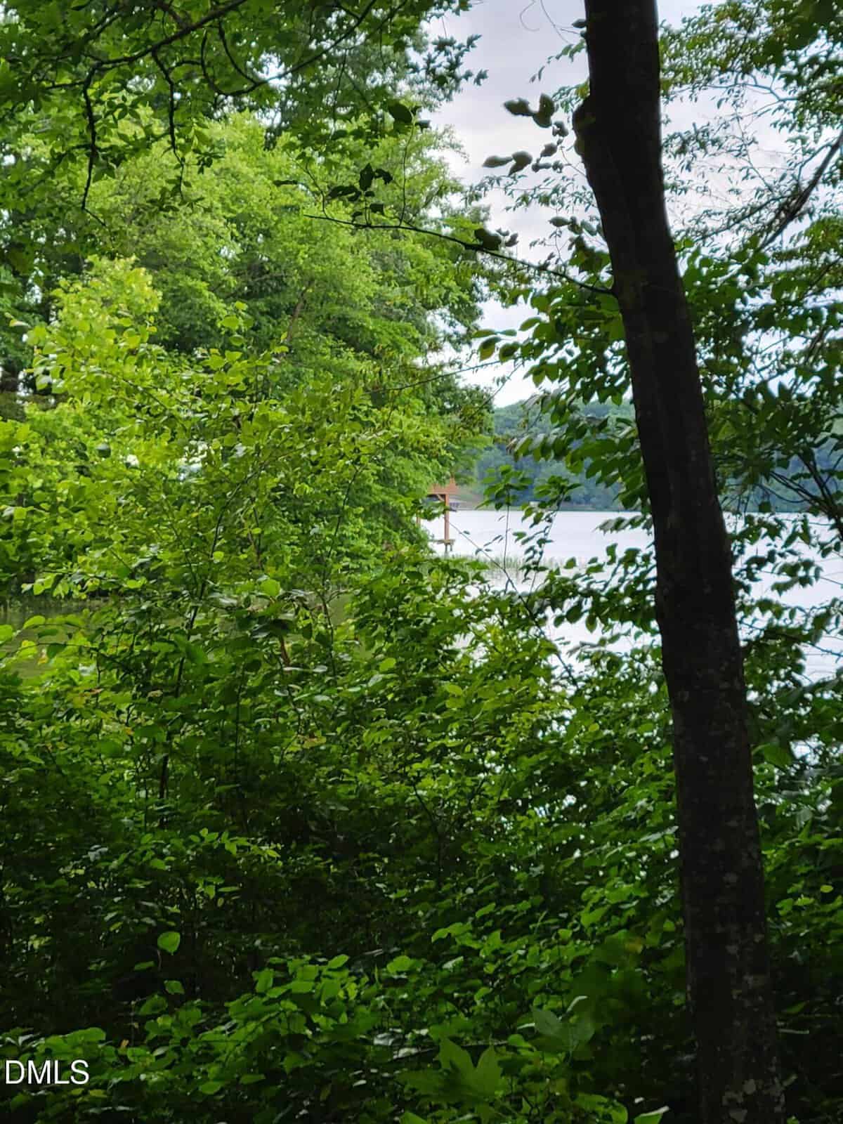 A view of a lake partially hidden by dense green trees and foliage, with a glimpse of a dock or platform visible in the distance across the water.