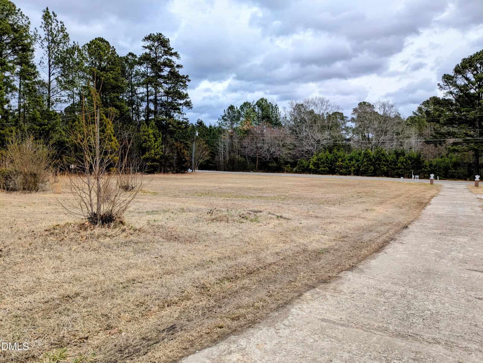 A concrete driveway curves past an open grassy field with scattered trees and bushes. Dense woods border the property under a cloudy sky.