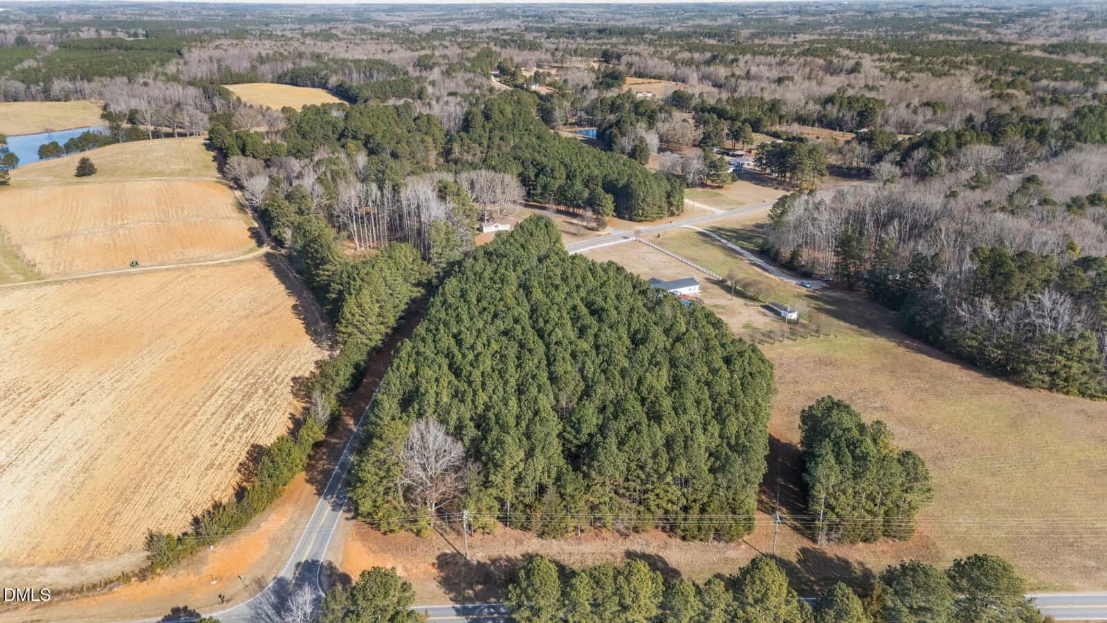 Aerial view of a rural landscape with a dense cluster of evergreen trees bordered by roads, open fields, scattered houses, and a pond visible in the upper left corner. Forested and cleared areas are seen in the distance.