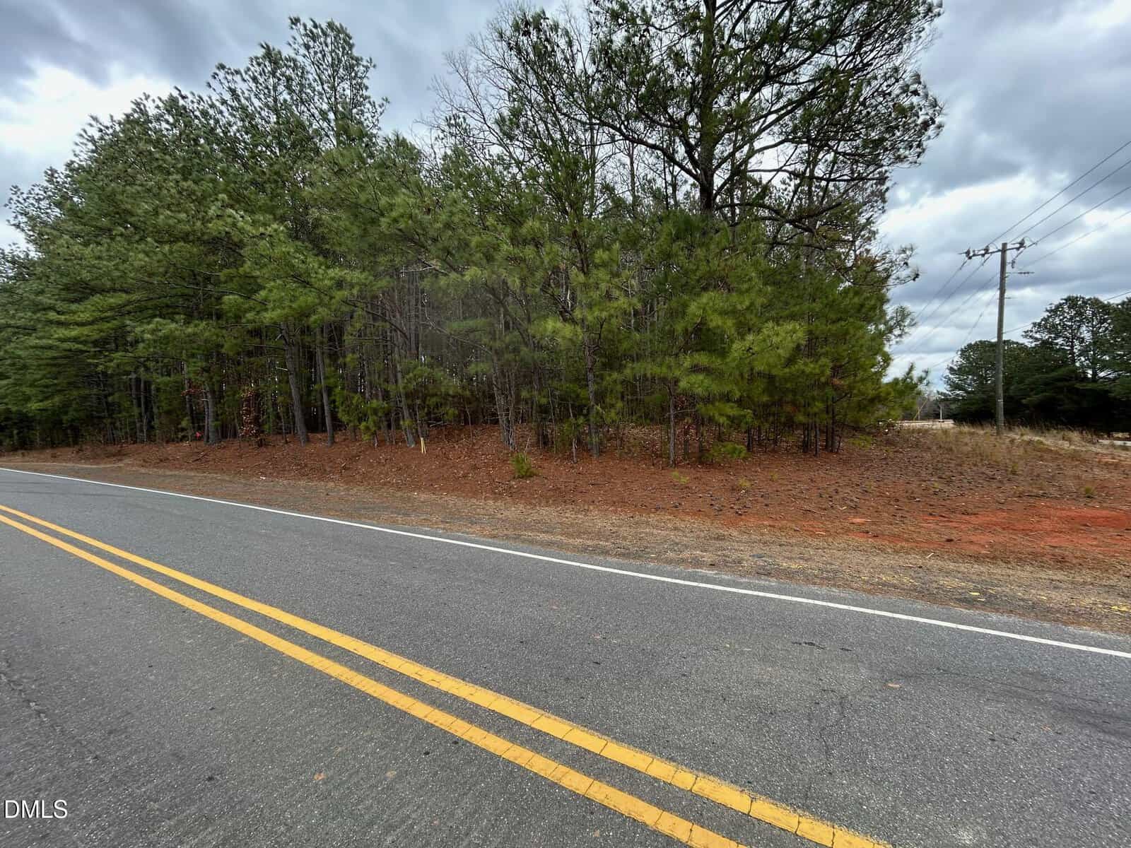 A two-lane road with double yellow lines runs alongside a forested area with pine trees and brown pine needles on the ground. The sky is overcast, and utility poles are visible on the right side.