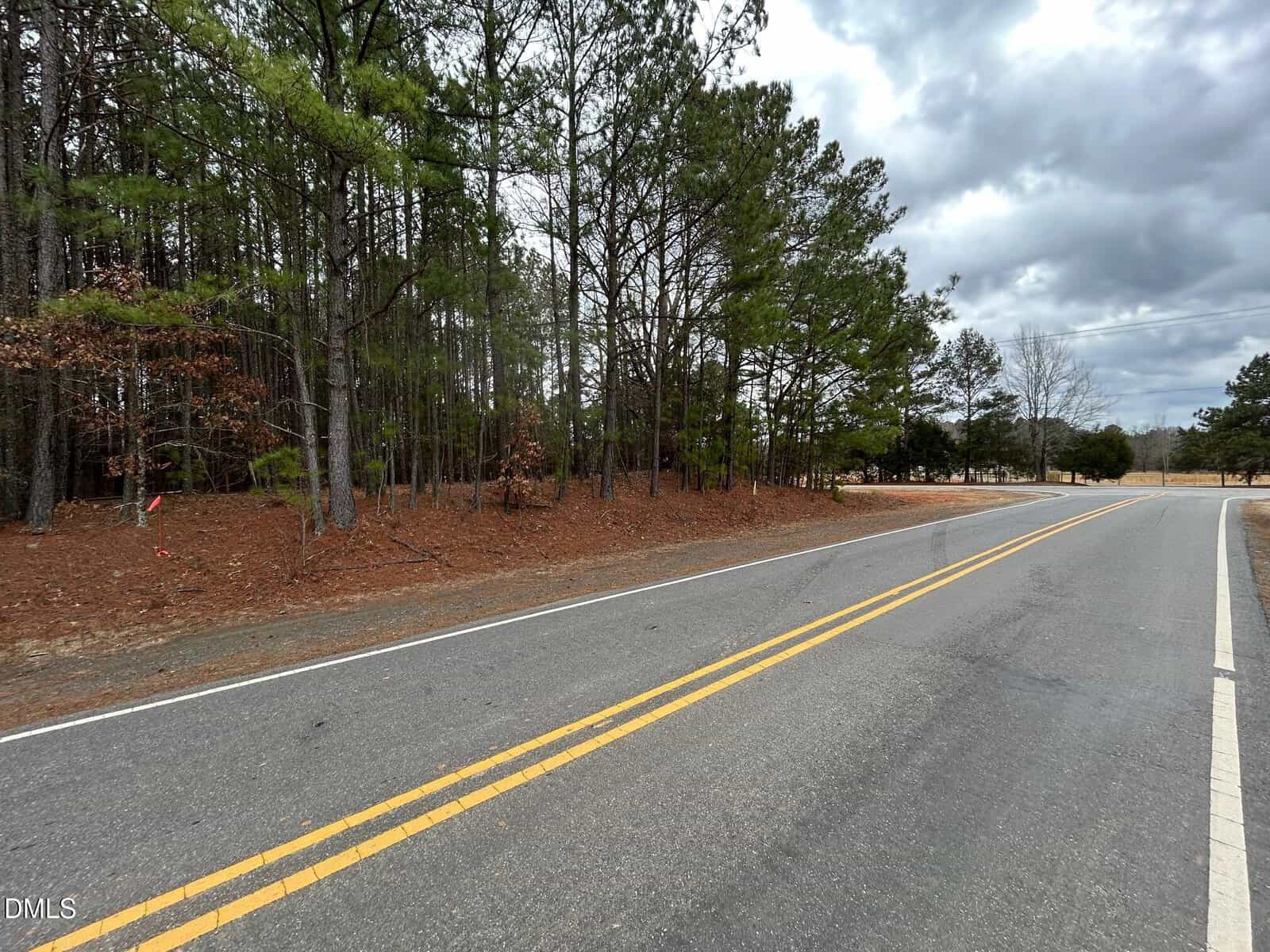 A two-lane road with double yellow lines curves alongside a forested area with pine trees. The sky is cloudy, and there are no vehicles or people visible.