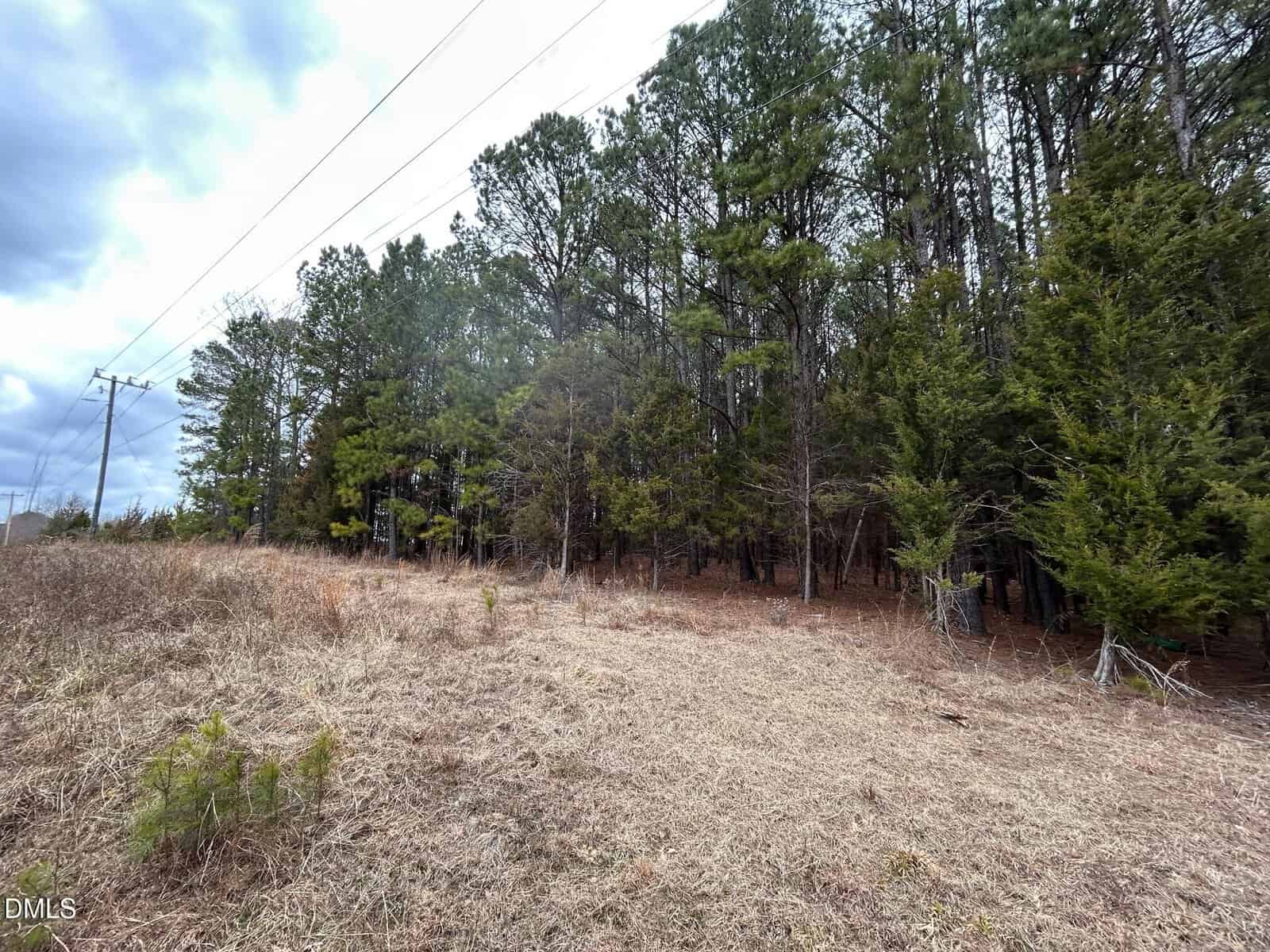 A grassy clearing with sparse bushes is next to a dense forest of tall pine trees under a cloudy sky. Power lines run alongside the clearing, parallel to the edge of the woods.