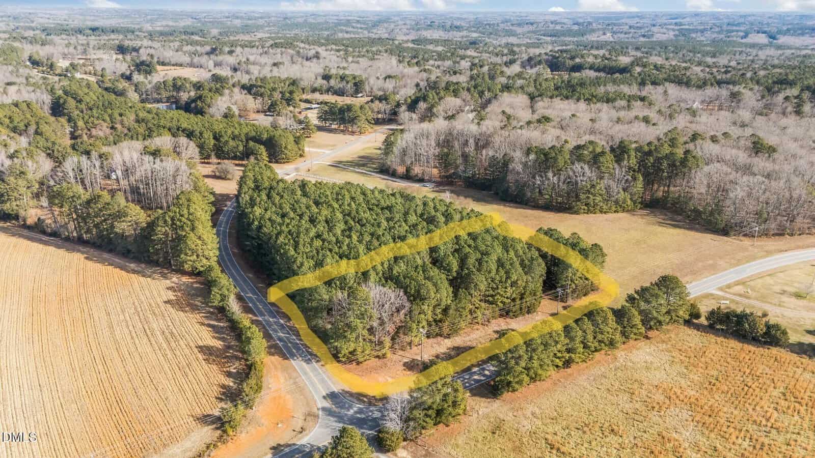 Aerial view of a rural landscape with a section of trees outlined in yellow near a curved road and open fields. The surrounding area includes more trees, roads, and patches of cleared land.