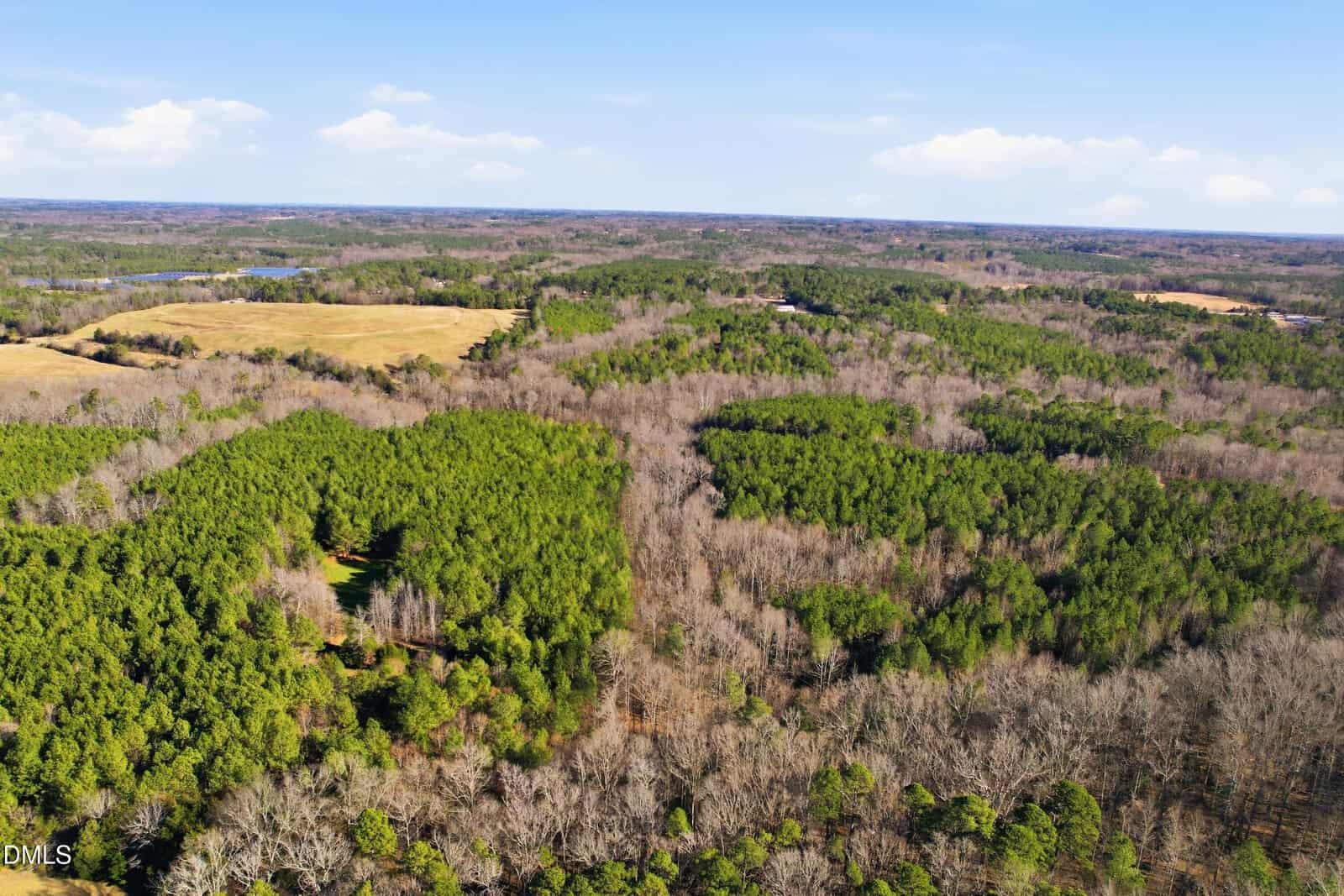 Aerial view of a vast, wooded landscape with dense green pine trees mixed with leafless deciduous trees, open grassy fields, and a clear sky in the background.