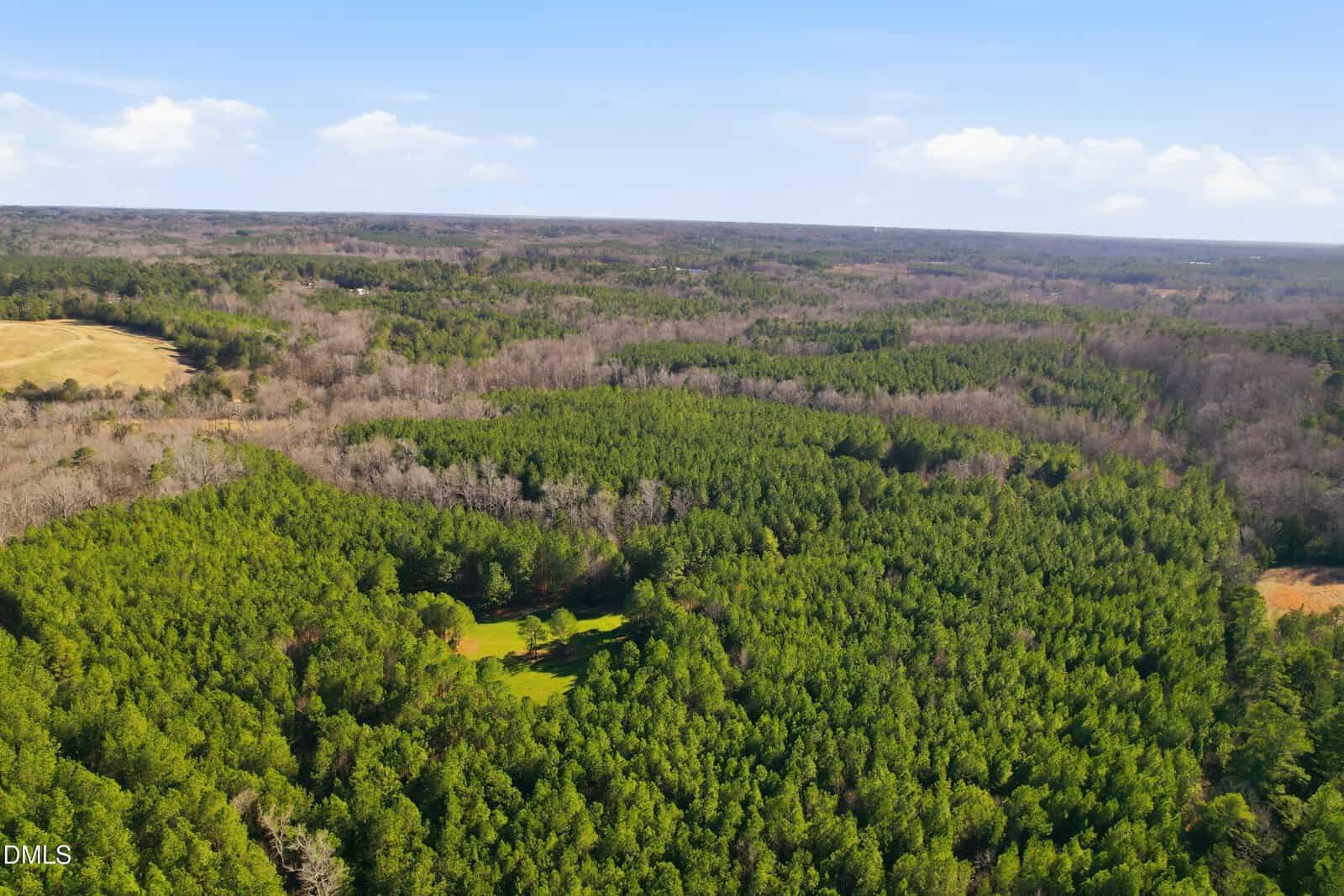 Aerial view of a vast forest with dense green trees, open grassy clearings, and patches of leafless trees under a blue sky with scattered clouds.
