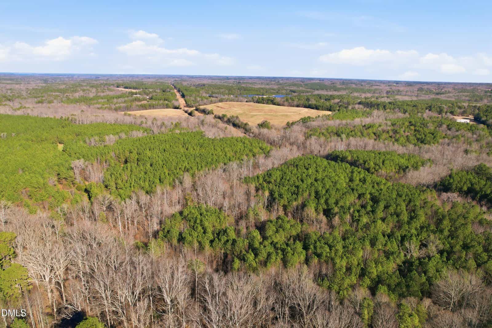 Aerial view of a vast, wooded landscape with dense green trees, some leafless areas, and open grassy fields under a partly cloudy sky. Distant forest and fields stretch to the horizon.