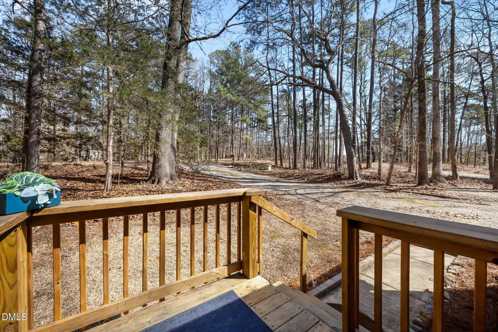 View from a wooden porch looking out at a gravel driveway and a forested area with tall trees and scattered fallen leaves. A small blue planter sits on the porch railing. The sky is clear and sunny.