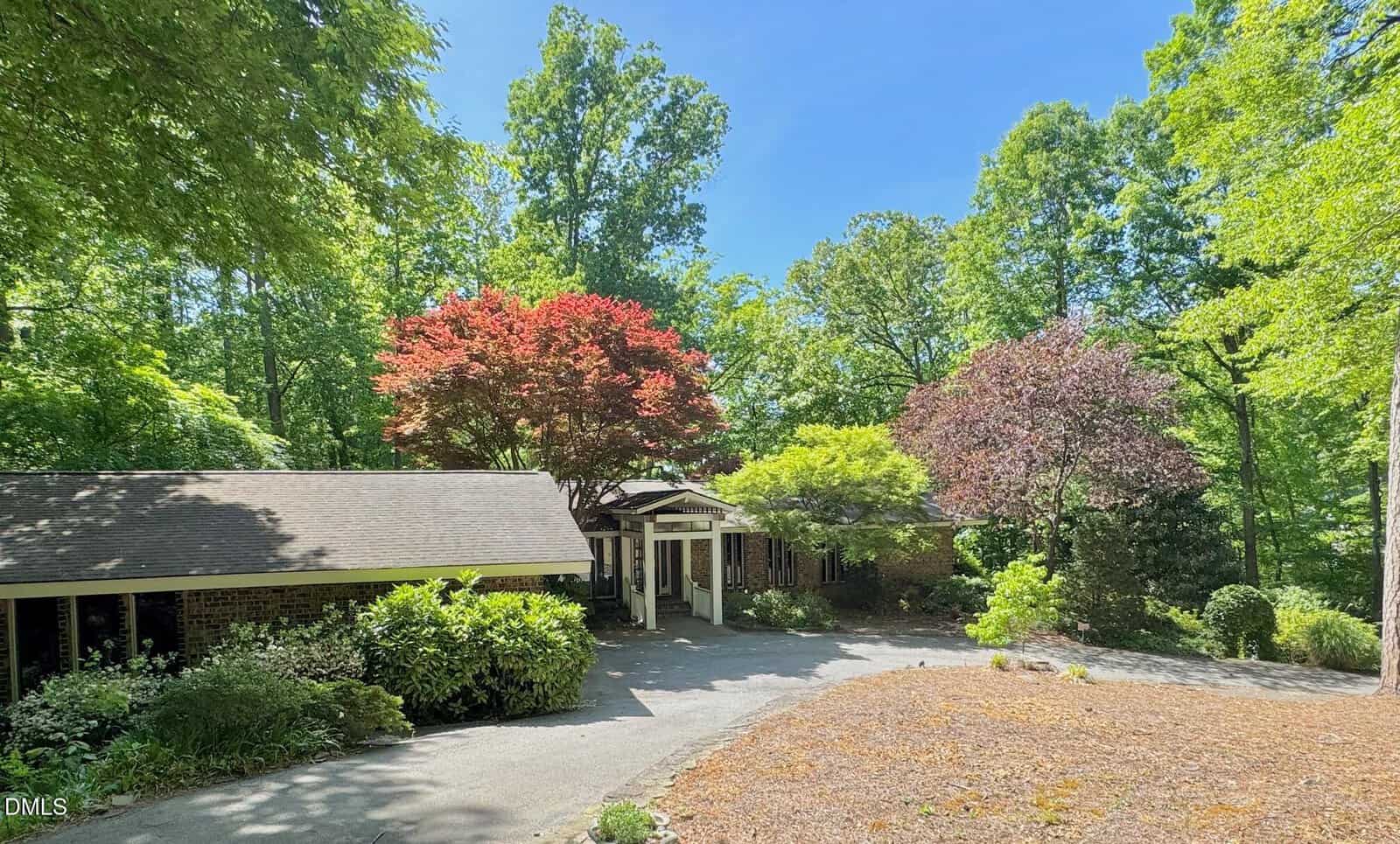 A house surrounded by lush trees and foliage with a paved driveway, colorful leafy trees in the front yard, and bright sunlight filtering through the greenery under a clear blue sky.
