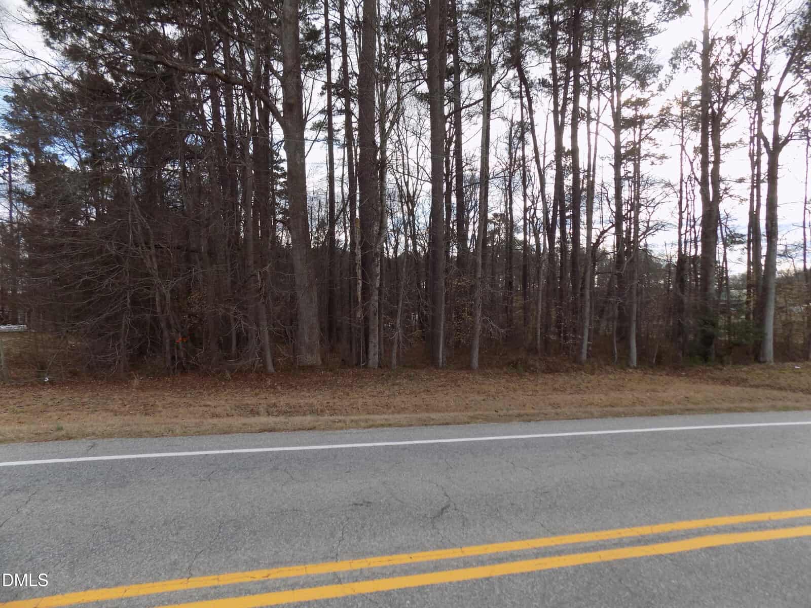 A two-lane road runs past a densely wooded area with tall, leafless trees. The sky is mostly cloudy, and the ground near the trees is covered with dry grass and leaves. No vehicles or people are visible.