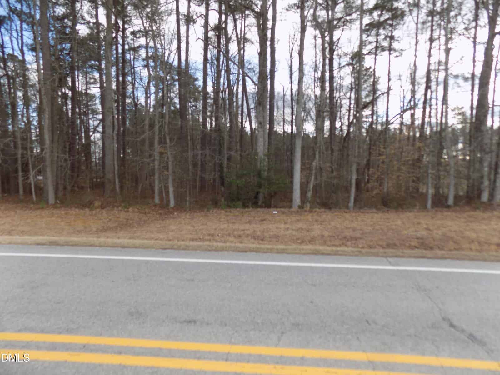 A two-lane road with yellow dividing lines runs in front of a wooded area with tall, leafless trees along 196 Trinity Church Road, Louisburg. The ground near the woods is covered with brown grass and dried leaves, and the sky is partly cloudy.