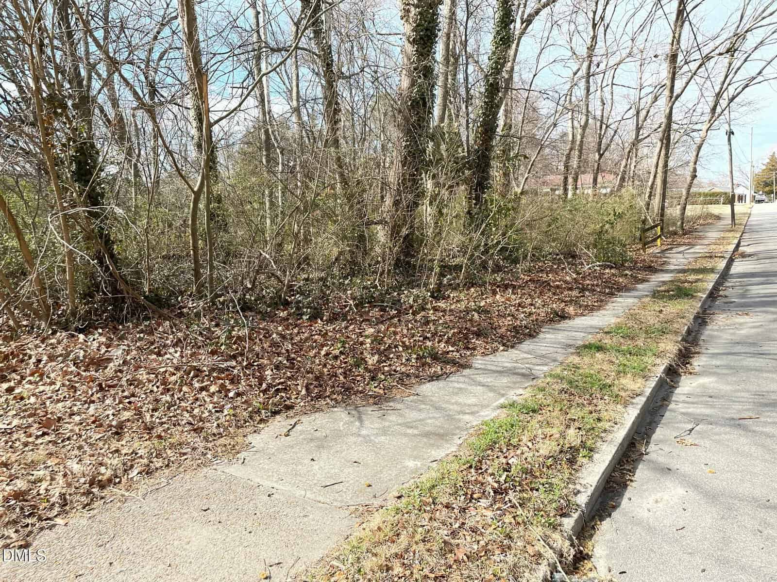 A concrete sidewalk in Henderson ends abruptly at a patch of fallen leaves and overgrown vegetation beside a road lined with leafless trees near 375 W Rockspring Street. A yellow metal barrier is visible further along the street.