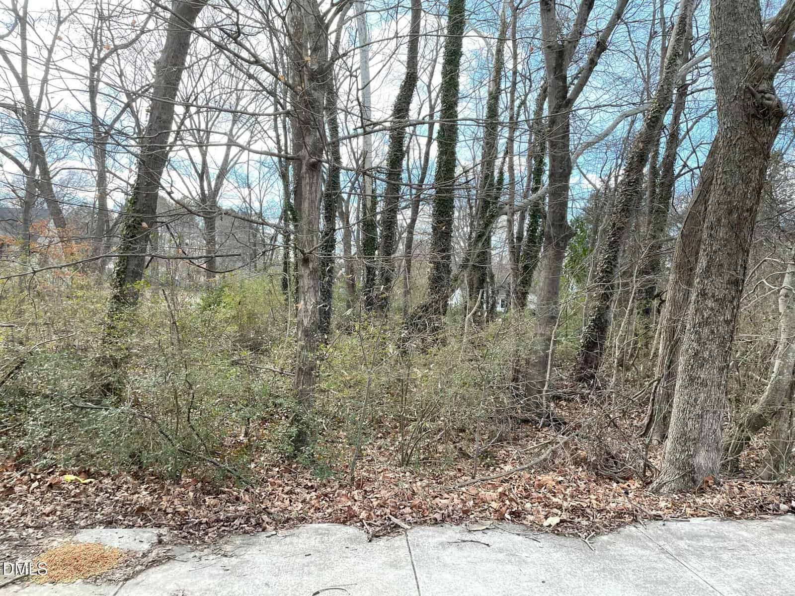 A sidewalk runs in front of a wooded area with leafless trees, tangled branches, and scattered ground leaves. Some trees have ivy climbing their trunks. The sky is partly cloudy.