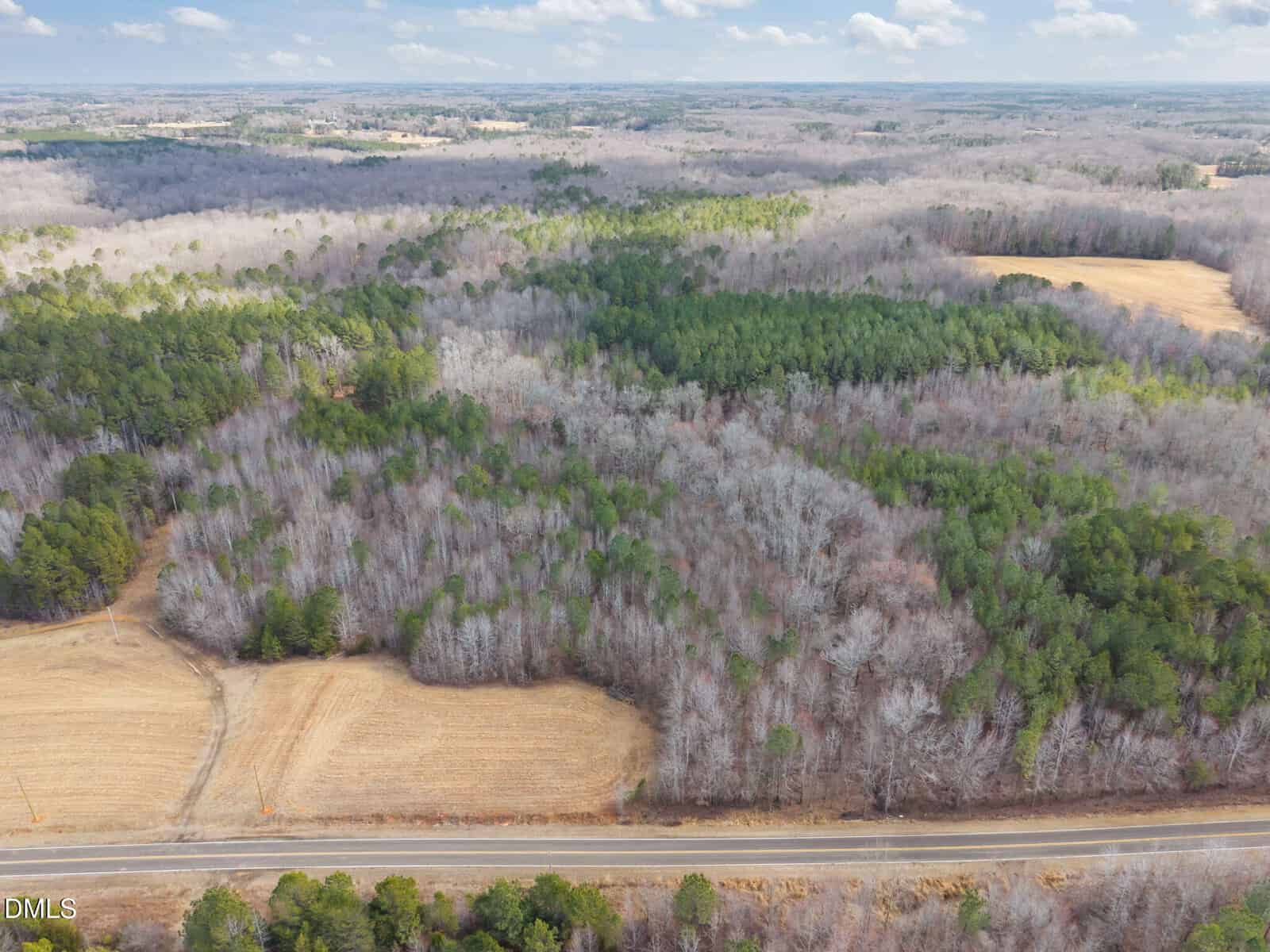 Aerial view of a rural landscape with a mix of leafless and evergreen trees, brown fields, and a road running along the bottom edge. The sky is partly cloudy and the area appears sparsely populated.
