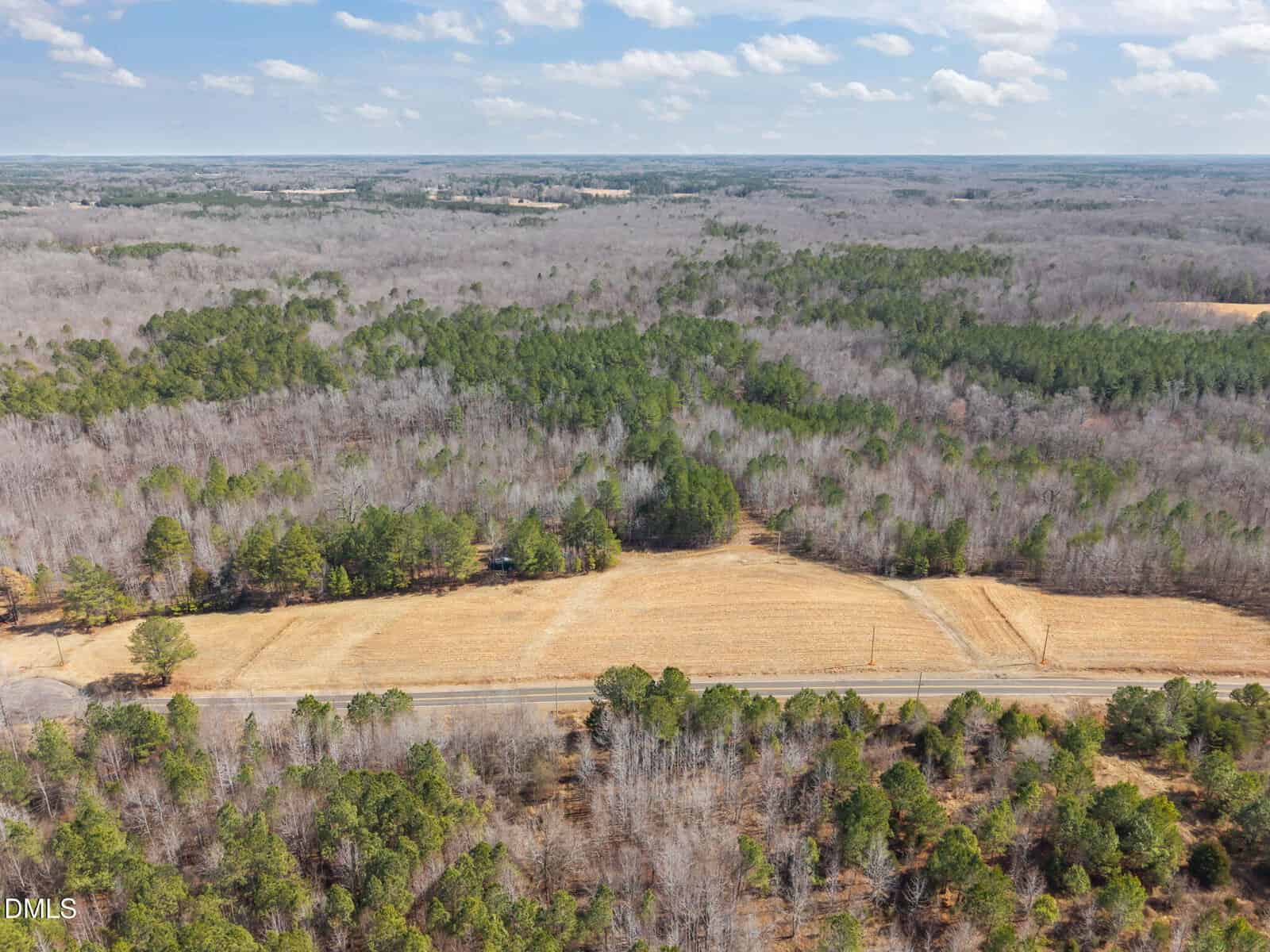 Aerial view of a rural landscape with a road dividing a field and dense forest. Trees are leafless except for some evergreen patches. The sky is partly cloudy.
